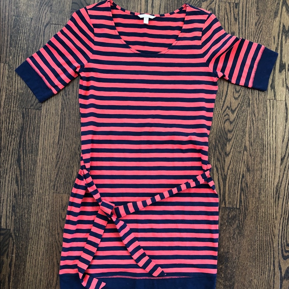 Banana Republic Stripe Dress